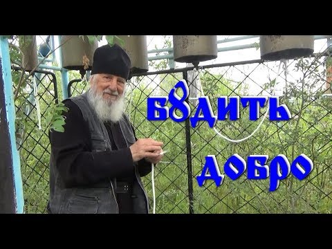 Видео: Мяунджа и её ЧЕЛОВЕКИ