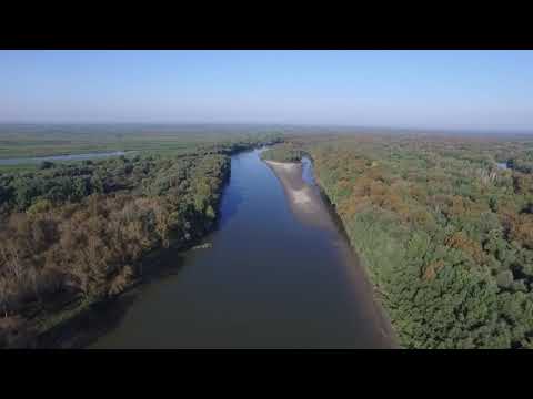 Видео: Вид с высоты птичьего полета Старая Обь и протока Заломная.