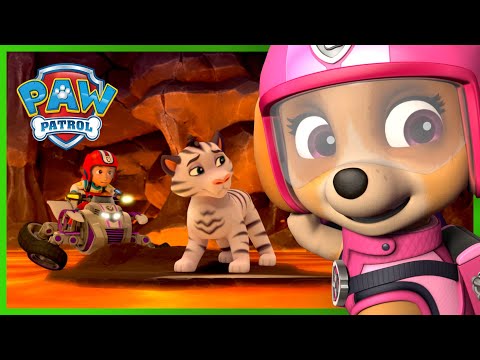 Видео: Скай спасява тигрите от вулкан и още! - PAW Patrol Bulgarian - карикатури за деца