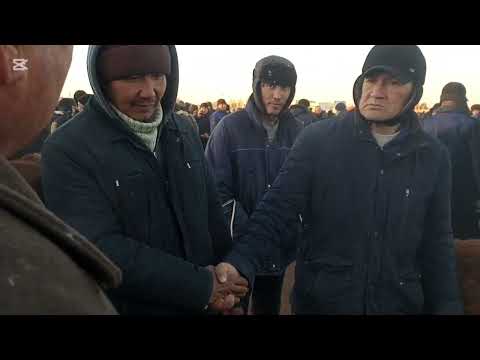 Видео: 2-ФЕВРАЛЬ/2025/ШЫМБАЙ МАЛ БАЗАРЫ/БУГИН КАЛАЙ БОЛДЫ?/МАЛ БАЗАР 2025/ДЕМ БЕРМЕС МАЛ БАЗАР