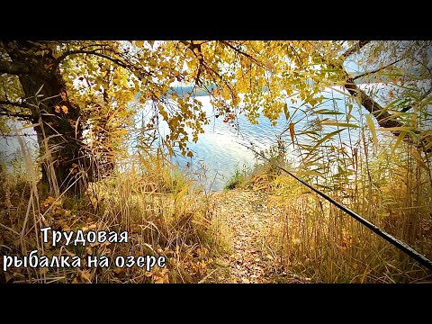 Видео: Рыбалка 2021. Щука на озере Алмазном. Как найти рыбу на озере. #рыбалка2021 #fishing #spinning