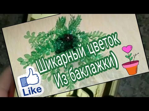 Видео: Шикарный цветок из бутылки!   Elegant flower from eggplant!