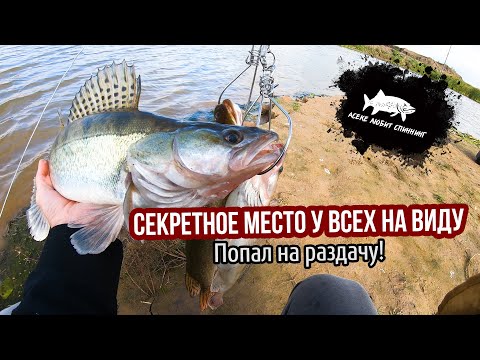 Видео: Это место видят все, но никто тут не ловит. Часть 3 #астана #fishing #2024 #рыболовная