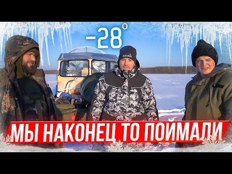 Видео: Рыбалка на краю Волги