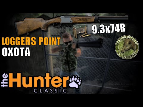 Видео: Охота с двуствольной винтовкой The Hunter Classic