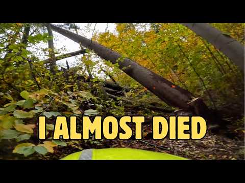 Видео: Я ЧУТЬ НЕ УМЕР! - Экстремальная вырубка деревьев на СКЛОНЕ!