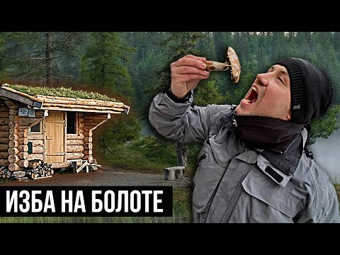 Видео: НОЧЕВКА В ИЗБЕ НА БОЛОТАХ | ЗАСТАЛА НЕПОГОДА | ДЕЛАЕМ НАВЕС - НОЧУЕМ НА УЛИЦЕ