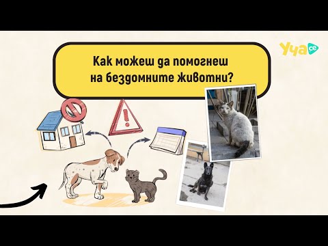 Видео: Как можеш да помогнеш на бездомните животни?