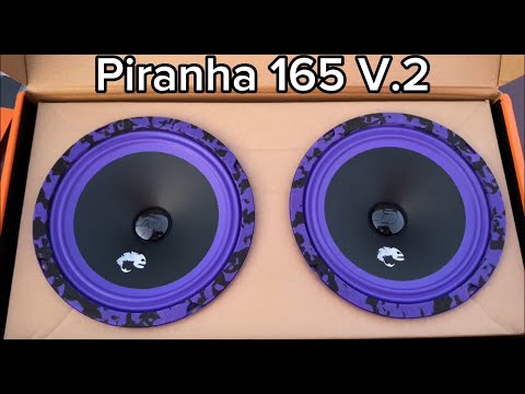 Видео: Установка и прослушка эстрадной акустики от Dl Audio Piranha 165 V.2