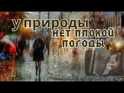 Видео: Песня из к/ф «Служебный роман»: аккордеон; вокал: А.Фрейндлих / The Song «Nature Has No Bad Weather»