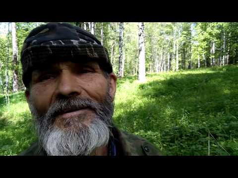 Видео: ☀️ Древнее Ремесло 👉 Уральская БОРТЬ🔨