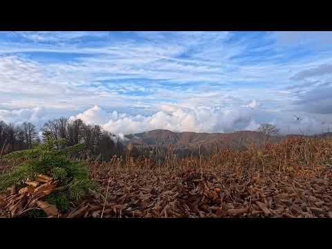 Видео: Вечерний релакс в Бахмаро