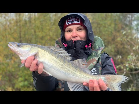 Видео: Рыбалка на Вуоксе. Октябрь 2023