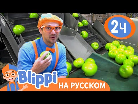 Видео: Блиппи на яблочной фабрике | Изучай этот мир вместе с Блиппи | Blippi Russian