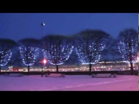 Видео: Високосный год - Декабрь