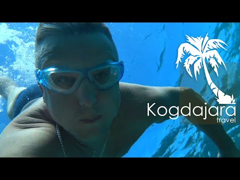 Видео: Coral Reef Lotus bay resort 4  Египет коралловый риф в лотус бэй резорд 4