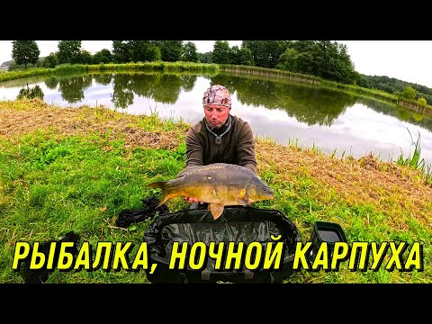 Видео: Рыбалка, ночной карпуха!