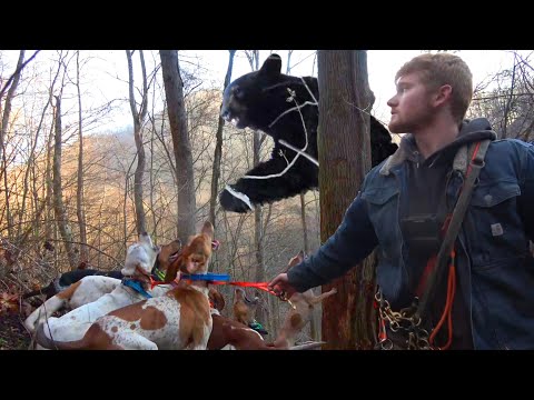 Видео: Лучший фильм об охоте на медведя 2022 года {PT.2}