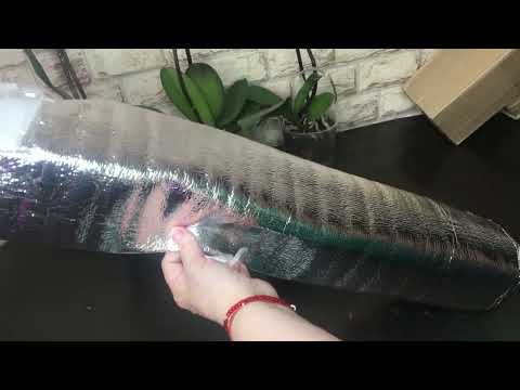 Видео: #3  Посылка с орхидеями  в этом сезоне 2024 г