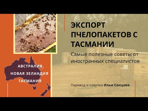 Видео: Как на Тасмании делают пчелопакеты и поставляют их на экспорт (Австралия)