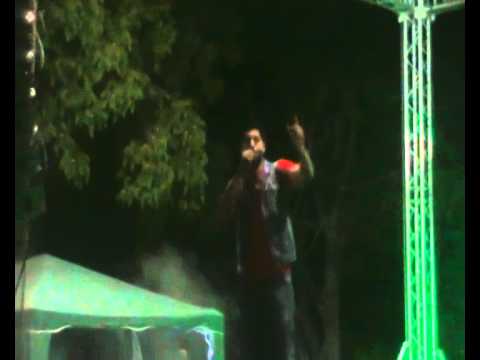 Видео: Най-добрата фирма - Фики *live* (Видински панаир 2015)