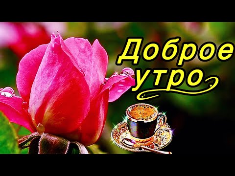 Видео: 💗☕️Доброе Утро! Хорошего Дня!🌹Для Друзей! Заряд Позитива на Весь День!💞