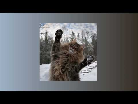 Видео: Макс Корж - Горы по колено | Speed up |