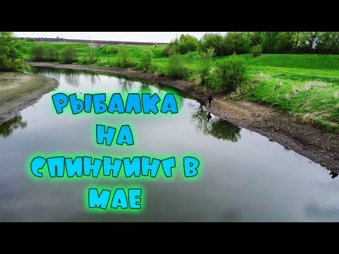 Видео: Спиннинг в мае! Рыбалка на реке Сосна! Весенняя щука на блесну! Хищник на малой реке, весной!
