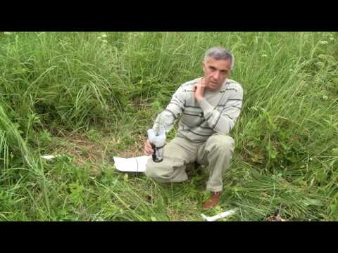 Видео: Как сажать саженцы, деревья летом. Часть 1.