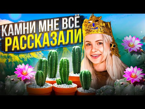 Видео: СХАВАЛА МЕСКАЛИНОВЫЙ КАКТУС🌵, поговорила с камнями, поплакалась горам..трип репорт крч, ПЕРУ