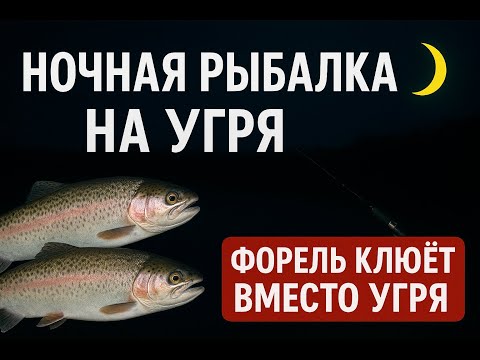 Видео: Ночная рыбалка на угря. Форель клюет вместо угря! Семейный трофей.