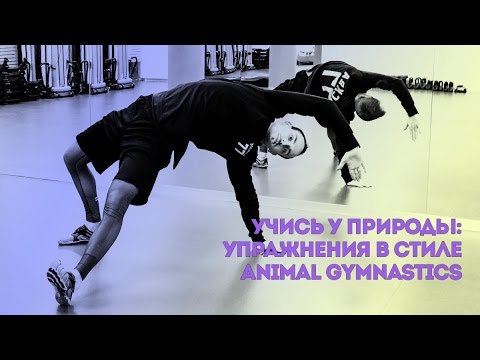Видео: Учись у природы: упражнения в стиле Animal Gymnastics