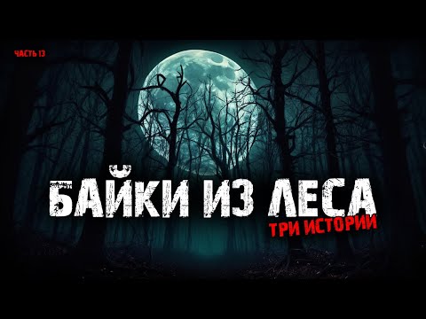 Видео: Байки из леса (3в1) Выпуск №13