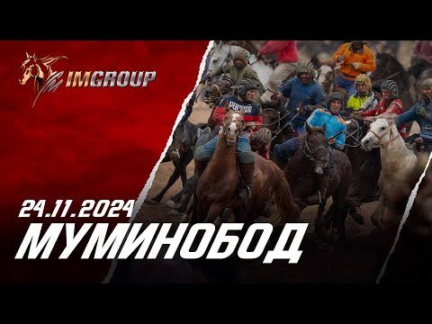 Видео: Бузкаши 24.11.2024  н.Муминобод