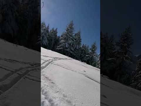 Видео: Мальовица писта Ръждавица паничка