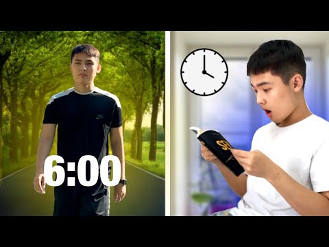 Видео: 24 сағат ҚАТАҢ ТӘРТІППЕН өмір сүрдім!