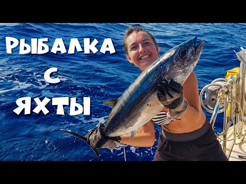Видео: Рыбалка на яхте в открытом море. Первый успех. Ловим и готовим тунца.