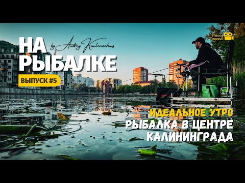 Видео: Передача «На рыбалке». Идеальное утро. Фидерная ловля в центре Калининграда