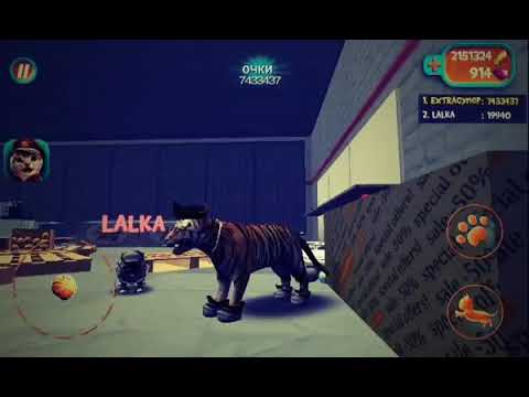 Видео: 7433437 ОЧКОВ | Cat Simulator | Симулятор Кошки