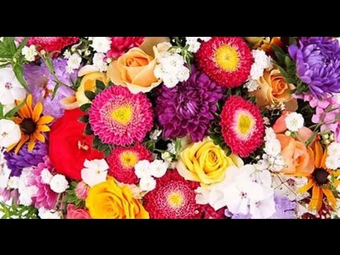 Видео: Мои парфюмы - 3 часть