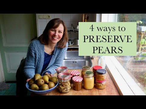 Видео: 4 способа сохранить урожай груш (или яблок) 🍐 чатни, грушевый соус, сушка и перенструп