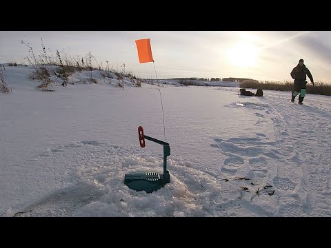 Видео: ЖЕРЛИЦЫ 2023 СТРЕЛЯЮТ ОЧЕРЕДЬЮ!!! Ловля ЩУКИ на жерлицы с подписчицей. Ловля плотвы на безмотылку