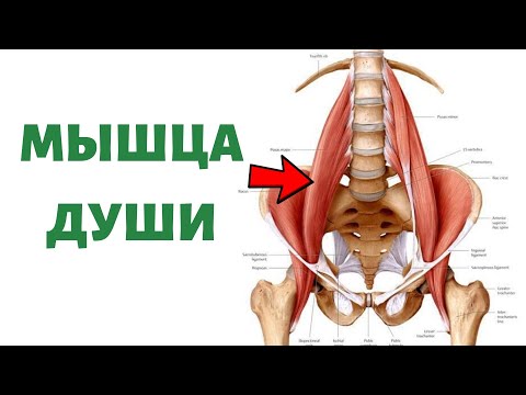 Видео: Как РАССЛАБИТЬ ПОЯСНИЧНУЮ МЫШЦУ | Psoas release