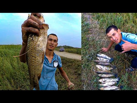 Видео: КЕШПЕДЕН ҚОЛМЕН БЕЛОМУРЛАР