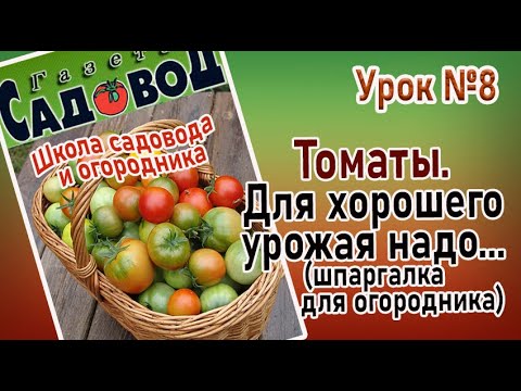 Видео: ТОМАТЫ. Для хорошего урожая надо... (шпаргалка для огородника) Урок№8