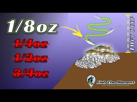 Видео: Это противоречит всему, чему вас учат «эксперты» по ловле окуня (включая меня…)