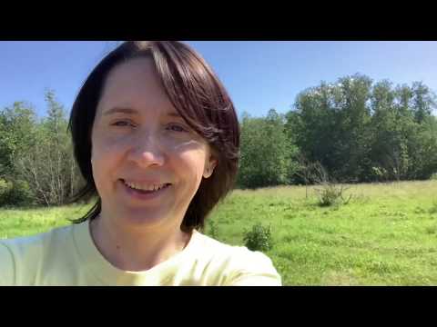 Видео: Село Климово Торжокский район - в поисках Земли