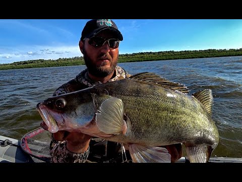 Видео: НА ДНЕ ДРОВА, ЗНАЧИТ БУДЕТ ЖОР!! Рыбалка в коряжнике! Джиг, крупный судак. Рыбалка на Оби.