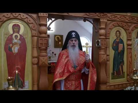 Видео: Зависимость!!! КТО ВИНОВАТ? #СхиигуменГАВРИИЛ (Виноградов-Лакербая) #КавказскийскитВалаама