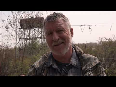 Видео: Фильм №449 - Начало мая. Виноград. Сливово-вишнёвый гибрид. Садовая земляника. Голубика.